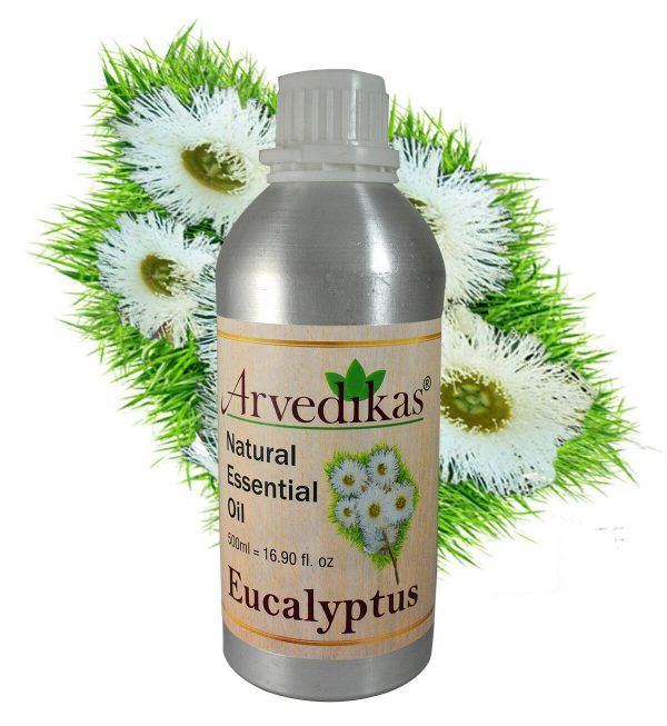 Arvedikas Eucalyptus Essential Oil