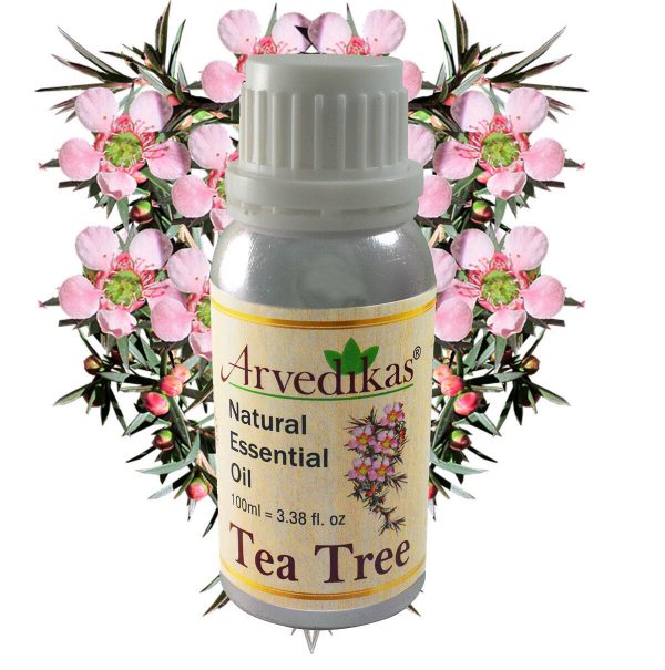 Arvedikas Organic Tea Tree Oil 100% Natural Pure Undiluted Uncut Essential Oil