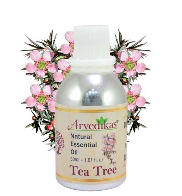 Arvedikas Organic Tea Tree Oil 100% Natural Pure Undiluted Uncut Essential Oil