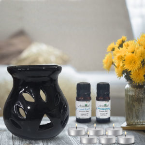 Buy Aroma Diffuser Combo Set With 2 Scented Fragrance Oil